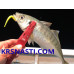 Захват Daiwa Fish Holder Light 200C Deep Blue